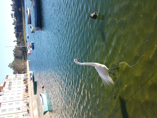 IMG_20150214_164339 (02-14-2015 16:43)