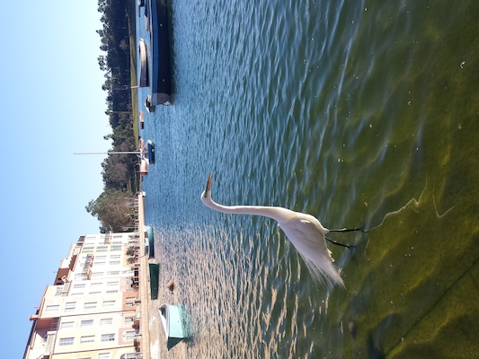 IMG_20150214_164341 (02-14-2015 16:43)