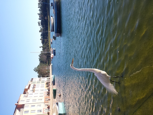 IMG_20150214_164344 (02-14-2015 16:43)