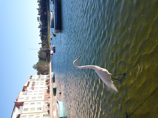 IMG_20150214_164346 (02-14-2015 16:43)