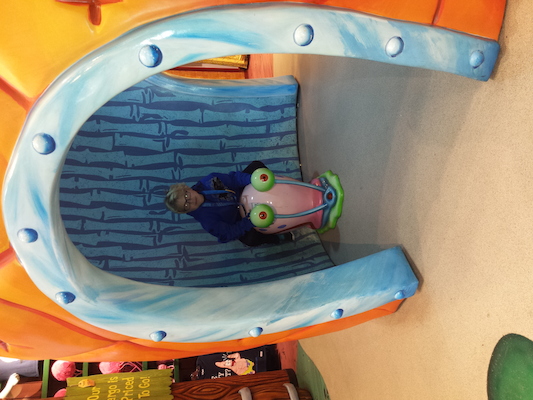 IMG_20150218_140726 (02-18-2015 14:07)