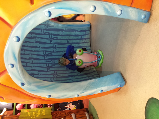 IMG_20150218_140728 (02-18-2015 14:07)