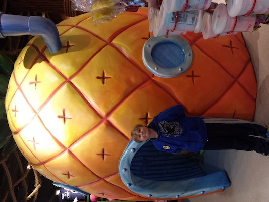 IMG_20150218_140808 (02-18-2015 14:08)