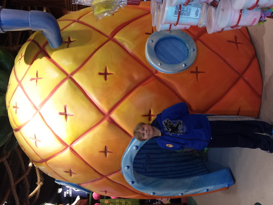 IMG_20150218_140811 (02-18-2015 14:08)