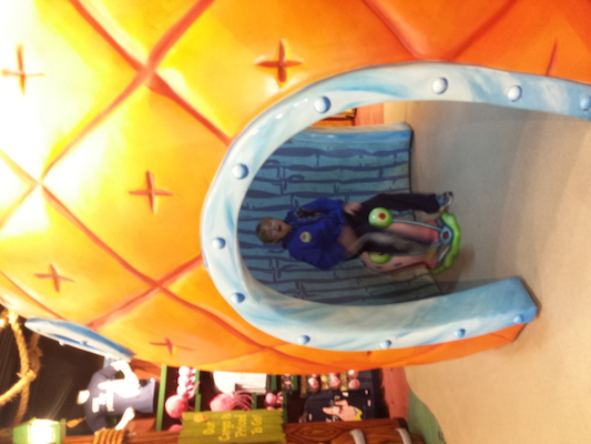 IMG_20150218_140824 (02-18-2015 14:08)