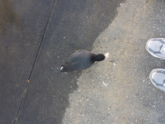 IMG_20150219_074252 (02-19-2015 07:42)