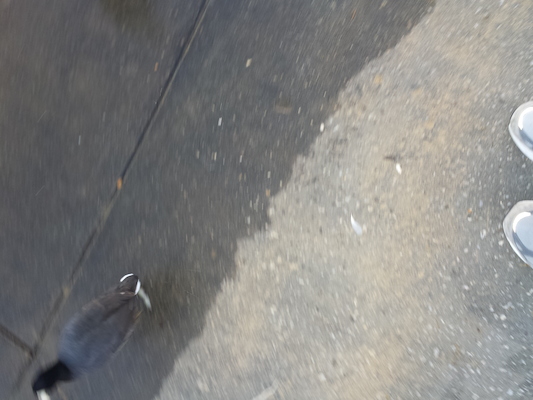 IMG_20150219_074254 (02-19-2015 07:42)