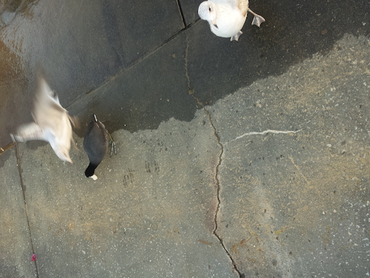 IMG_20150219_074300 (02-19-2015 07:43)