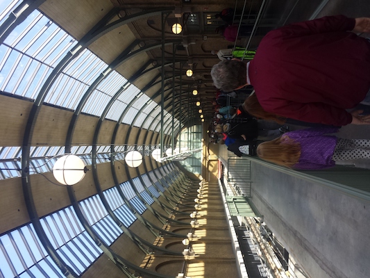 IMG_20150220_105645 (02-20-2015 10:56)