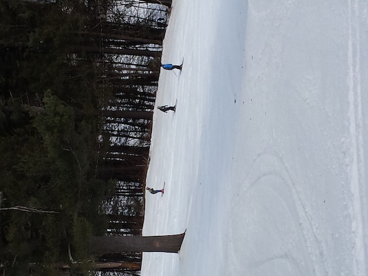 IMG_20150313_130519 (03-13-2015 13:05)