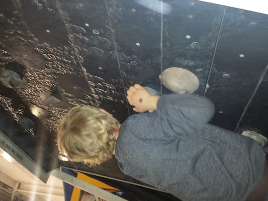 IMG_20150328_111954472 (03-28-2015 11:19)