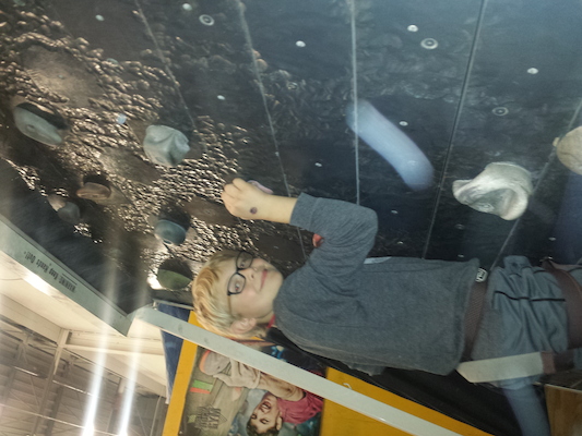 IMG_20150328_111959089 (03-28-2015 11:20)