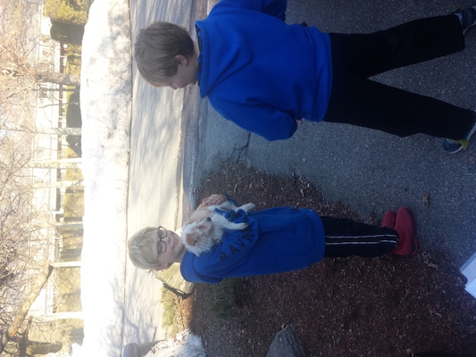 IMG_20150401_172942251 (04-01-2015 17:29)