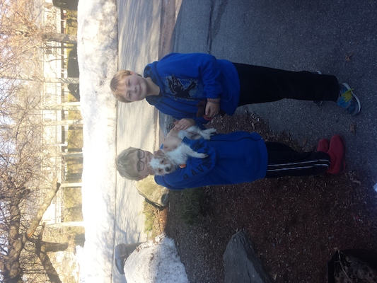 IMG_20150401_172946814 (04-01-2015 17:29)