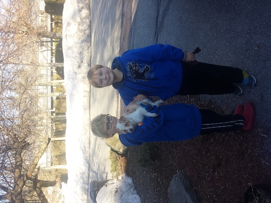 IMG_20150401_172949078 (04-01-2015 17:29)