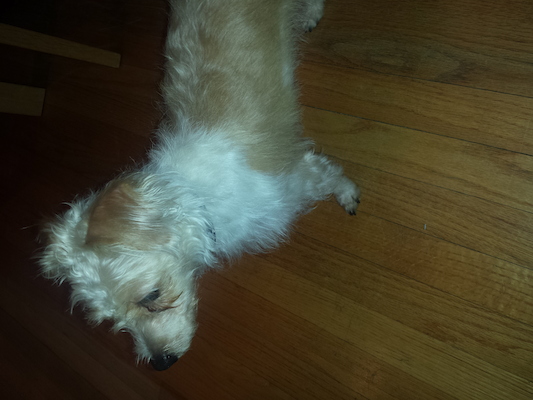 IMG_20150401_191221662 (04-01-2015 19:12)