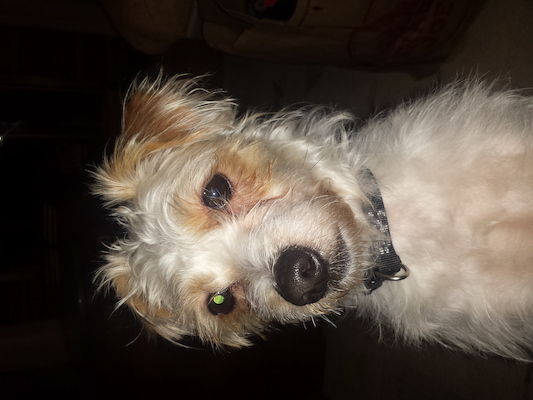 IMG_20150401_191351855 (04-01-2015 19:13)