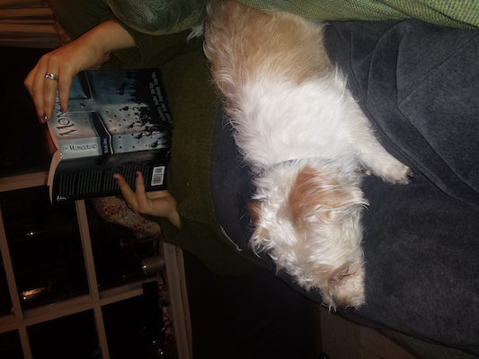 IMG_20150401_193941987 (04-01-2015 19:39)