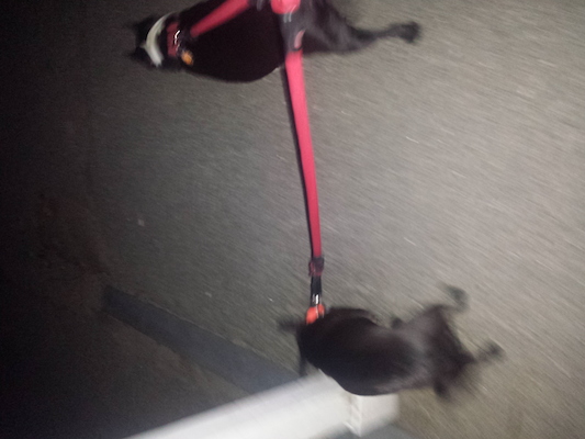 IMG_20150418_200229638 (04-18-2015 20:02)