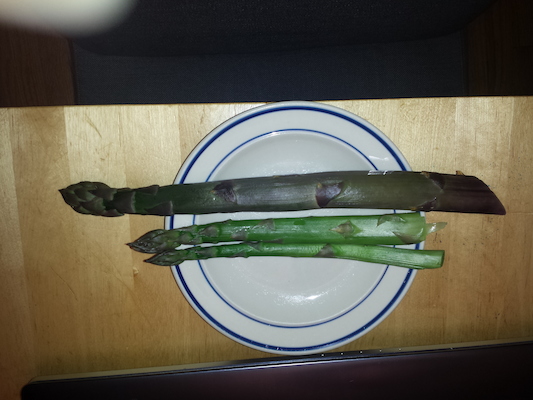 IMG_20150430_171252883 (04-30-2015 17:12)