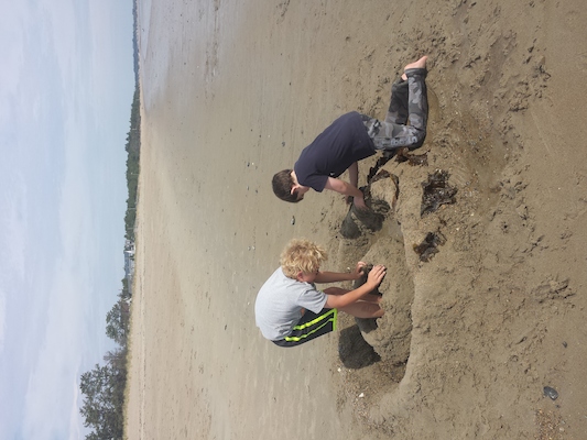 IMG_20150510_102154753 (05-10-2015 10:21)