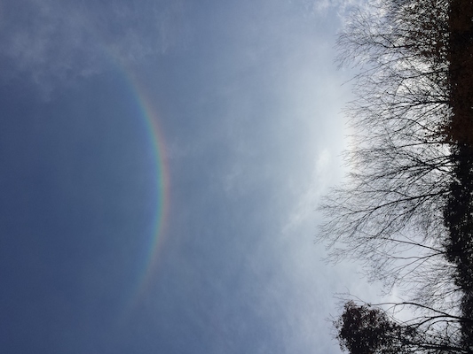 IMG_20151031_154111 (10-31-2015 15:41)