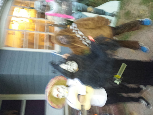 IMG_20151031_174647 (10-31-2015 17:46)