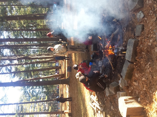 IMG_20151121_111848 (11-21-2015 11:18)