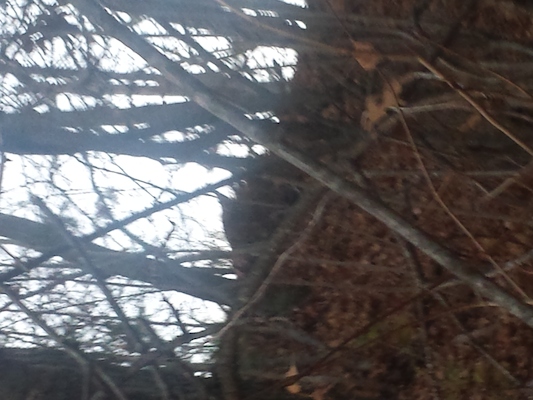 IMG_20151126_160315 (11-26-2015 16:03)