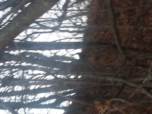 IMG_20151126_160323 (11-26-2015 16:03)