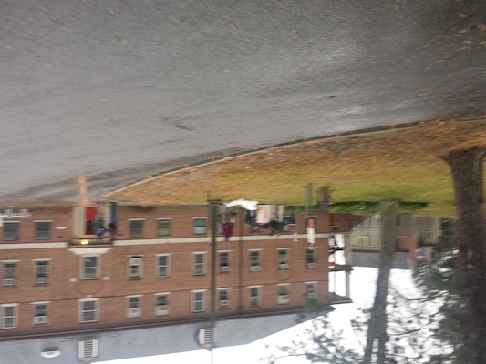 IMG_20151128_084347 (11-28-2015 08:43)