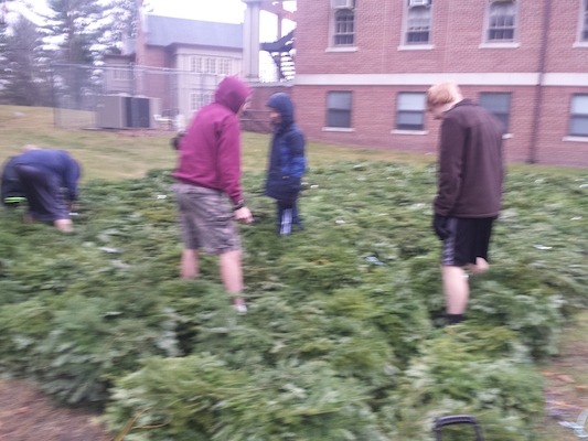 IMG_20151128_085323 (11-28-2015 08:53)