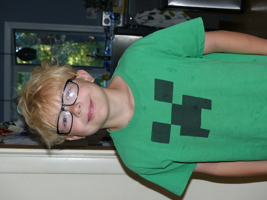 P1050070 (06-20-2014 08:06)