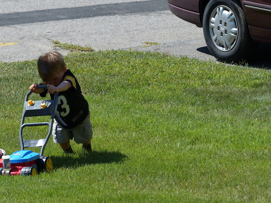 P1050090 (08-09-2014 10:31)