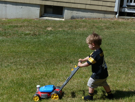 P1050094 (08-09-2014 10:32)