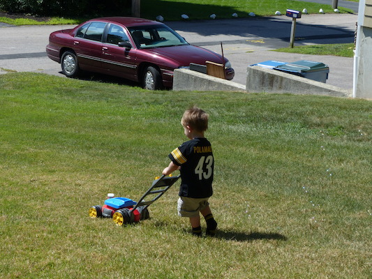 P1050095 (08-09-2014 10:32)