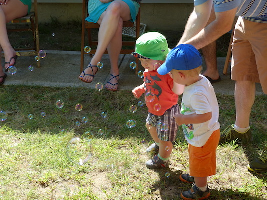 P1050107 (08-09-2014 10:42)