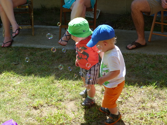 P1050108 (08-09-2014 10:42)