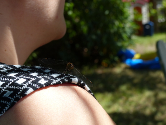 P1050118 (08-09-2014 10:54)