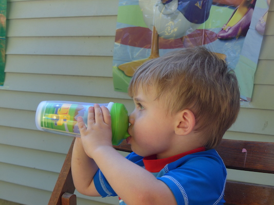 P1050120 (08-09-2014 11:11)