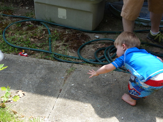 P1050156 (08-09-2014 12:04)