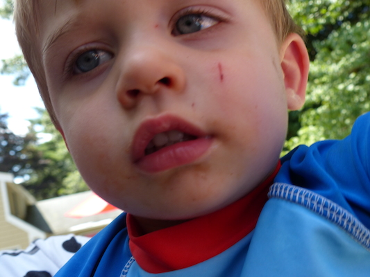 P1050173 (08-09-2014 12:24)