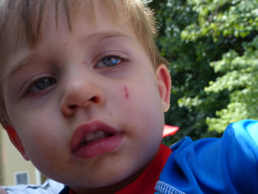 P1050174 (08-09-2014 12:24)