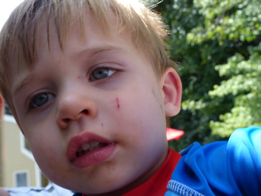 P1050177 (08-09-2014 12:24)