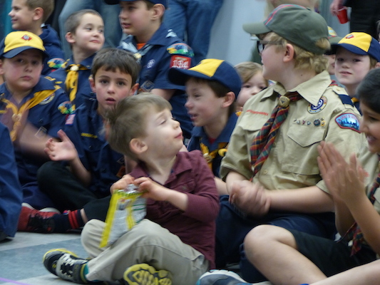 P1050283 (03-06-2016 19:24)