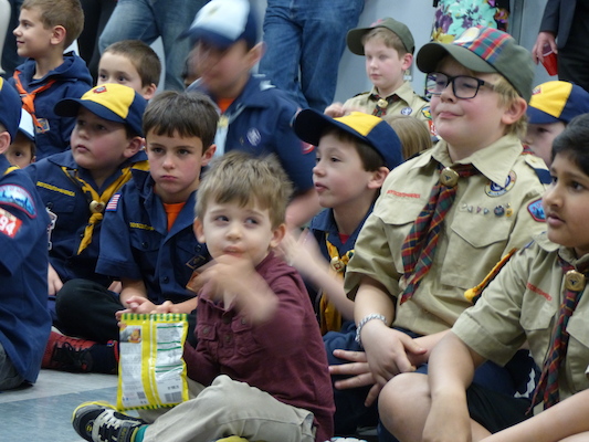 P1050285 (03-06-2016 19:24)