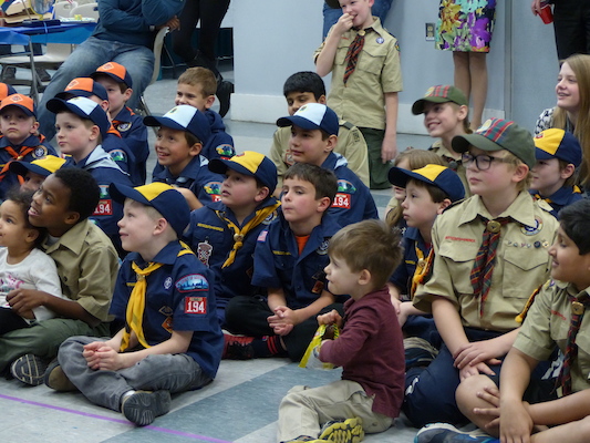 P1050290 (03-06-2016 19:26)