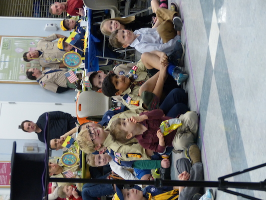 P1050300 (03-06-2016 19:34)