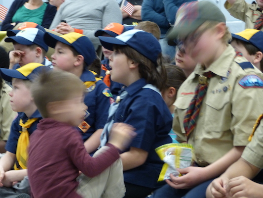 P1050323 (03-06-2016 19:41)