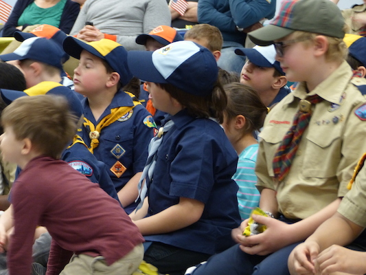 P1050324 (03-06-2016 19:41)